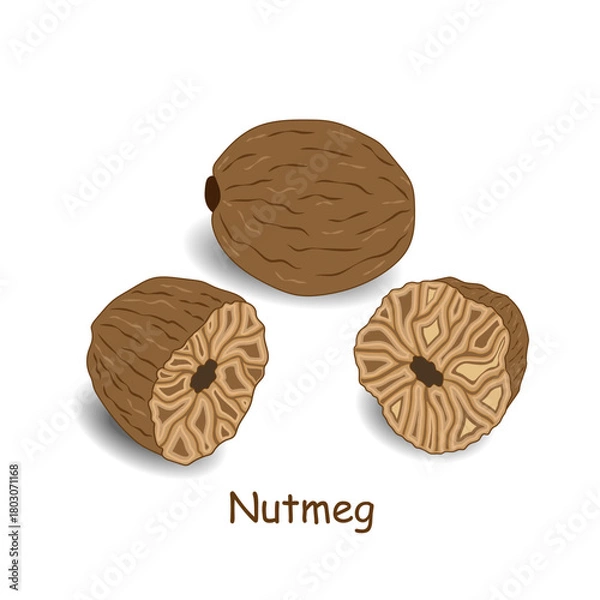 Obraz Nutmeg (spice) isolated on a white background