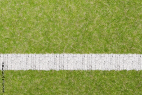 Obraz 公園の芝と歩道のCGイメージ