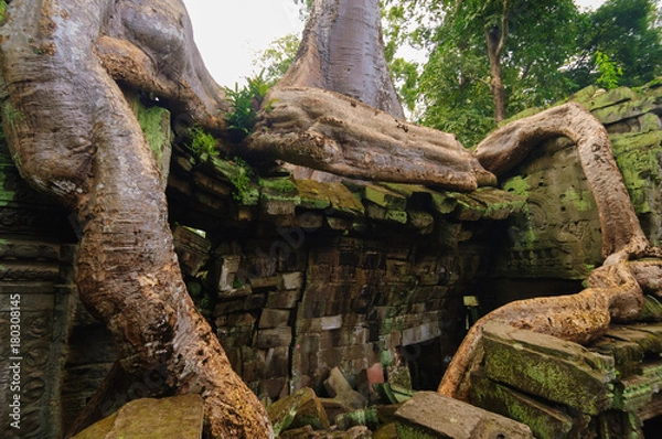 Fototapeta タ・プローム遺跡