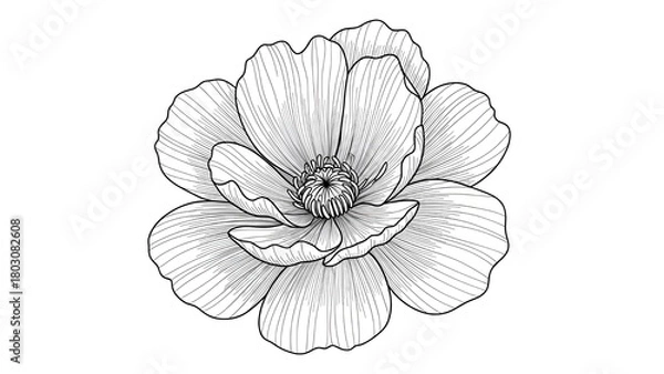 Obraz Monochrome Floral Harmony