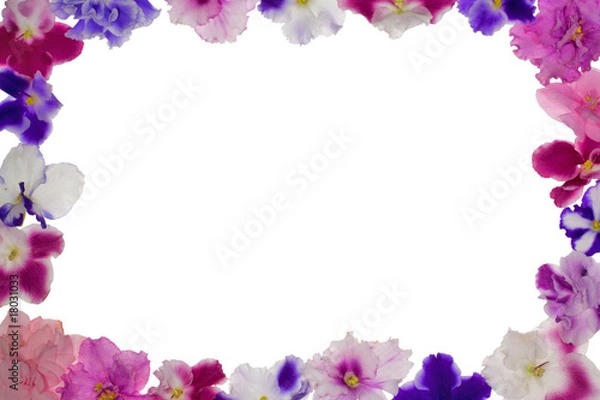 Fototapeta violets frame on white