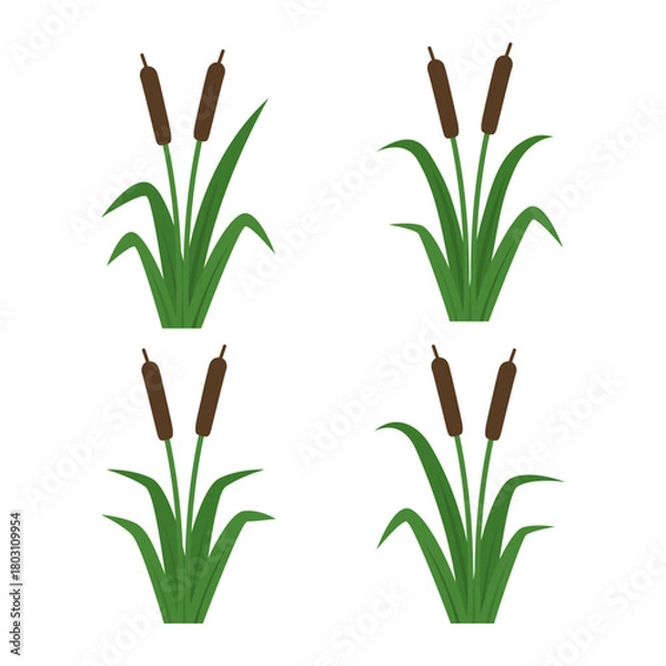 Fototapeta cattail design vector flat isolated illustration