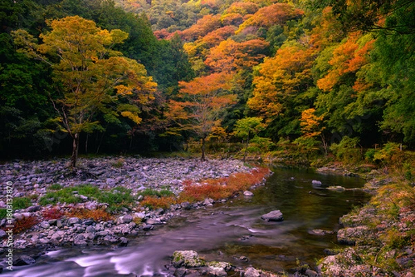 Obraz 玉川峡の紅葉