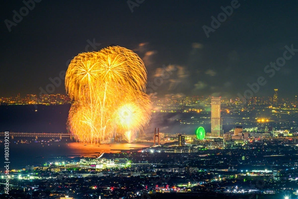 Obraz 和泉山地からの大阪の夜景と花火大会