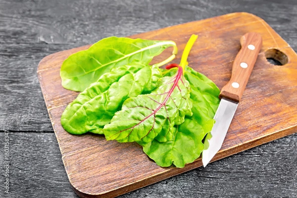 Obraz Mangold with knife on board