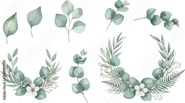 Fototapeta Watercolor illustration of eucalyptus leaves and floral arrangements on white background