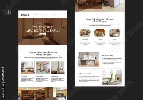 Obraz Luxury Interior News Letter Template