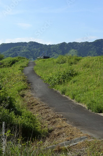 Fototapeta 堤防への小道