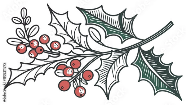 Fototapeta Illustration of a holly branch with red berries and green leaves in a decorative style format image