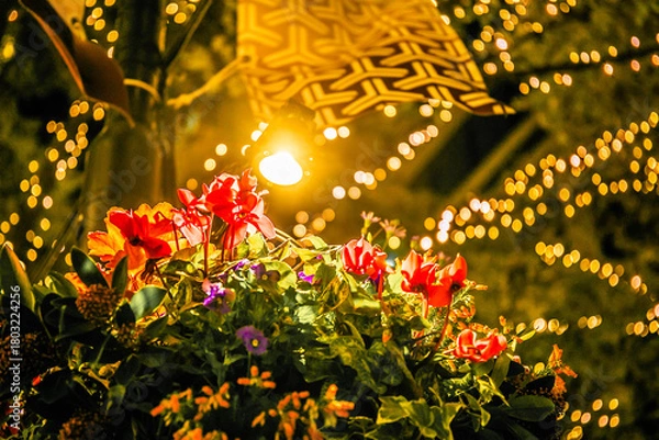 Obraz クリスマスリース