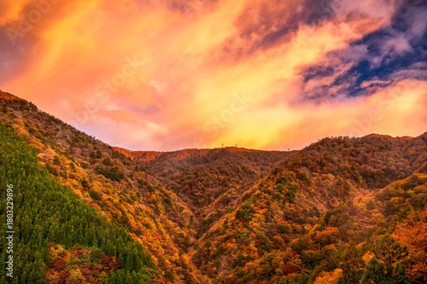 Obraz 朝焼けに染まる紅葉の龍神岳