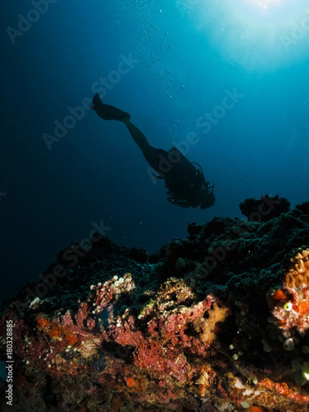 Obraz Scuba diver silhouette