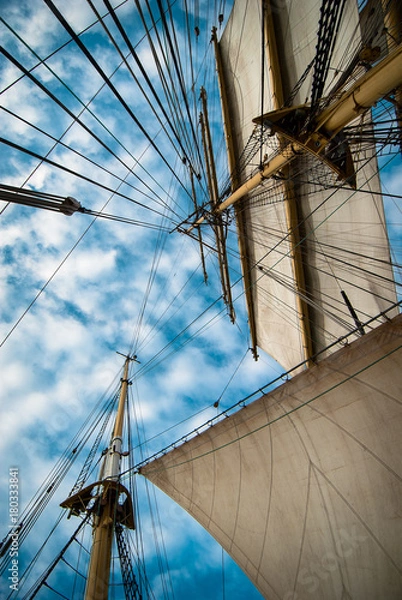 Obraz Bark Krusenstern, sails and ropes view from below.