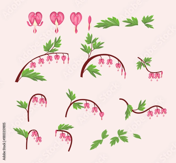 Fototapeta Bleeding Heart Flower Botanical Elements Collection