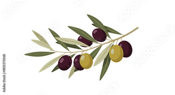 Obraz A pixel art illustration of an olive branch with ripe and unripe olives on a white background.
