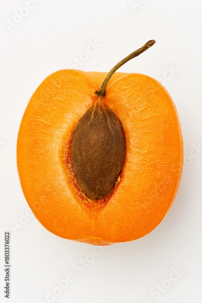 Obraz orange slice isolated on white