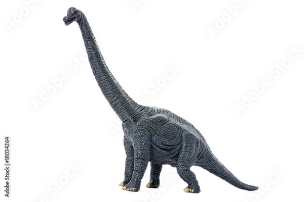 Obraz dinosaur on white background