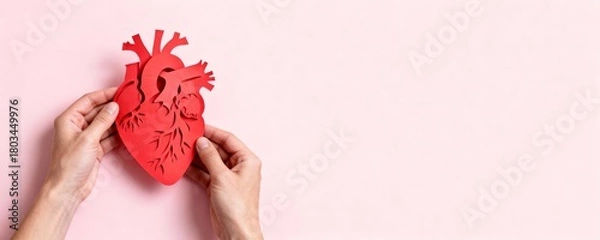 Fototapeta Hands holding a detailed red paper cutout of a human anatomical heart on a pastel pink background banner