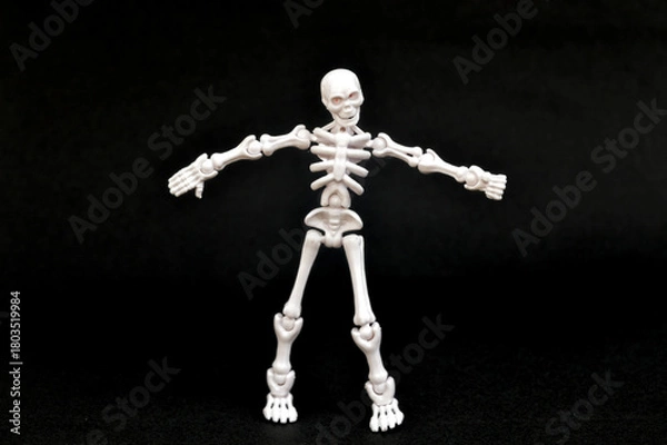 Fototapeta A small, articulated human skeleton model with red eyes, standing upright on a stark black background. Concepts of anatomy, biology, Halloween, fear, science, education, medical, spooky, and death.