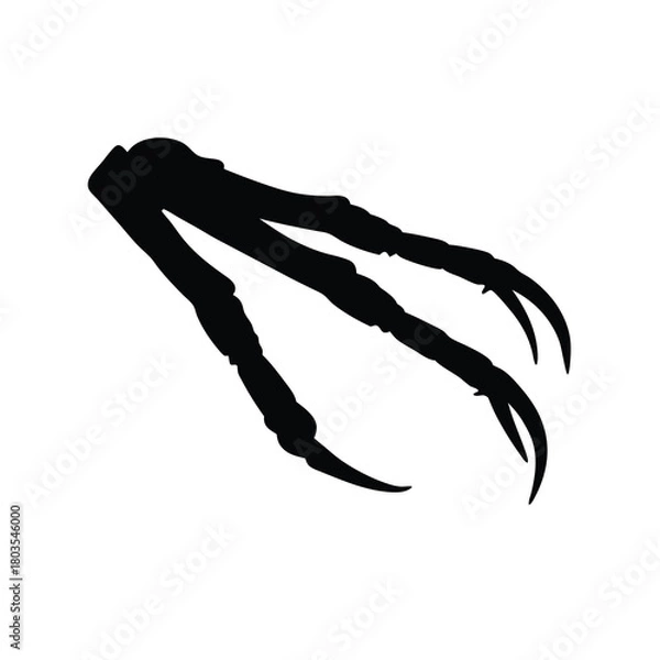Obraz Sharp predatory raptor talon silhouette vector design