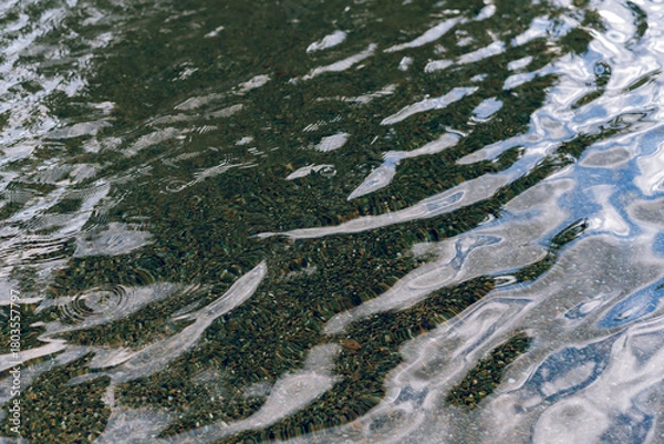 Obraz water in the forest