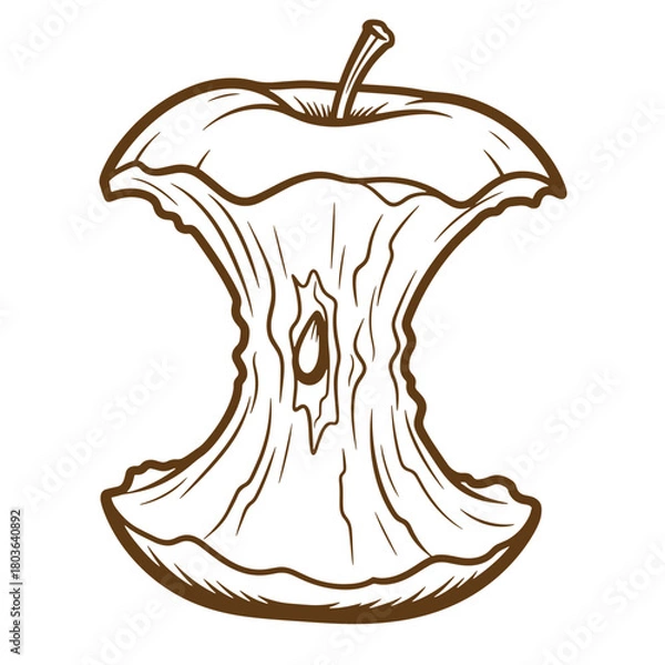 Fototapeta Illustration of a brown apple core with sketch style and simple vintage outline