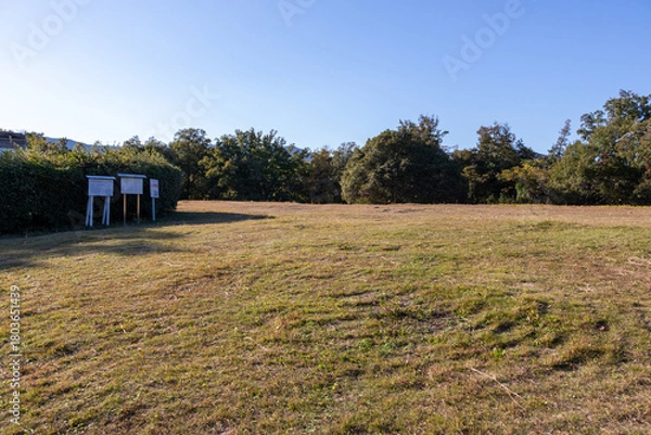 Obraz 西宮・甲山の山頂に広がる広場