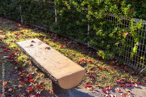 Fototapeta 秋の夕日を浴びる公園のベンチ