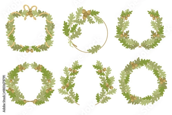 Obraz Oak branches wreaths. Decorative botanical frames with green leaves, acorns, different shapes, intertwining tree sprigs, botanical design elements, organic splendid vector isolated set