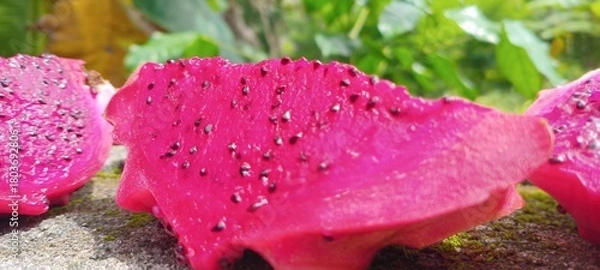 Obraz A slice of red dragon fruit looks fresh with bright red flesh speckled with black seeds, blending in with the natural green background of the leaves.