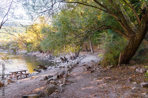 Fototapeta Forest trail along a lakeside with trees, rocks and calm water in soft natural light.
