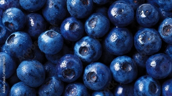 Obraz 収穫したブルーベリー