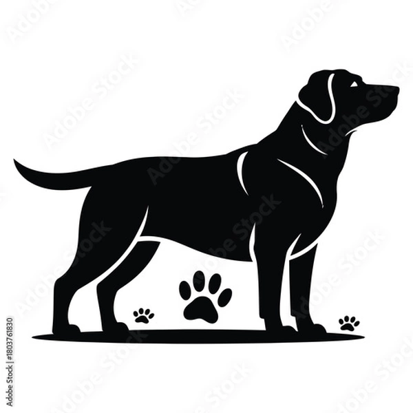 Obraz Silhouette of a Labrador Retriever Dog with Paw Prints Keywords: dog, labrador retriever