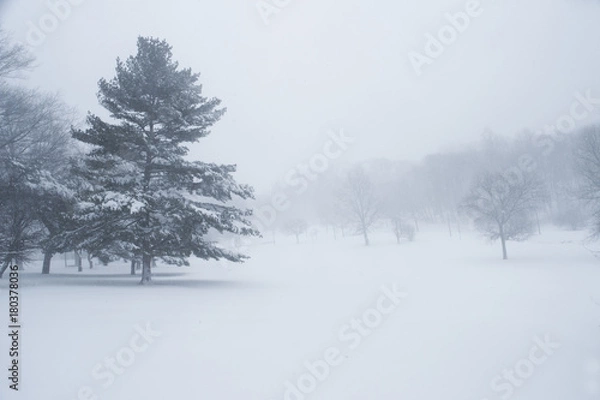 Fototapeta Snowstorm