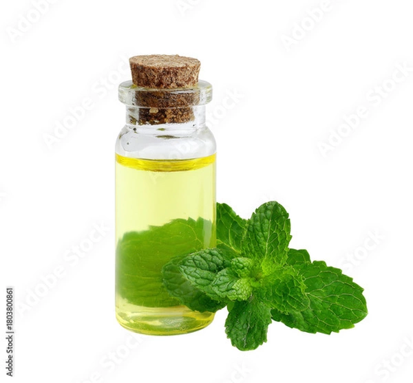 Obraz mint essential oil isolated on white background.