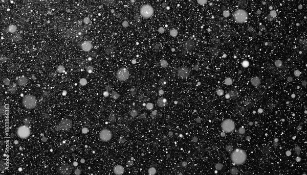 Fototapeta Black and white falling snow texture for overlay, for design
