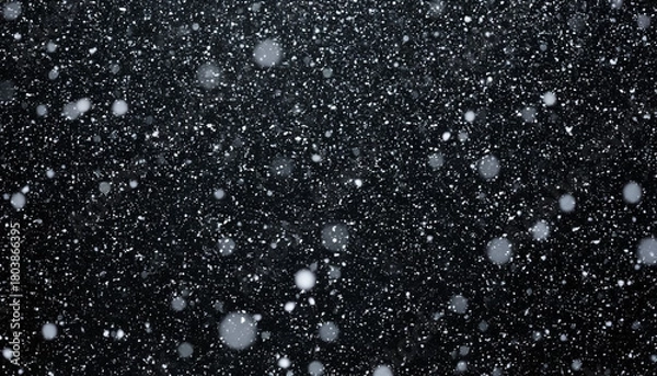 Fototapeta Black and white falling snow texture for overlay, for design