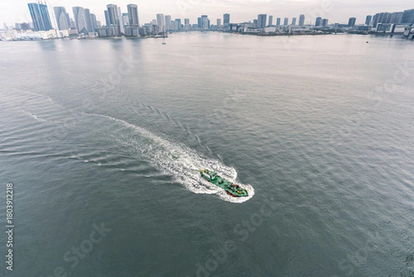 Fototapeta 東京レインボーブリッジからの湾岸風雨系