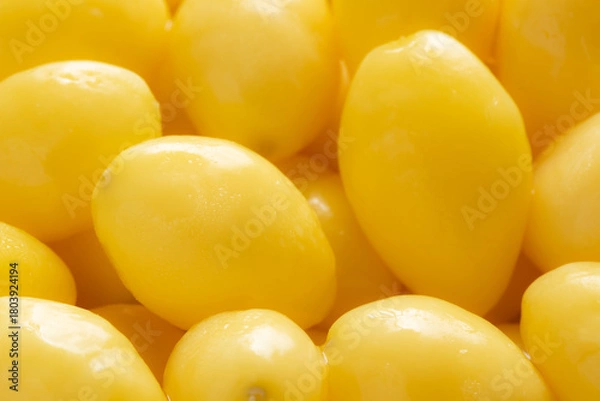 Fototapeta Close-up of yellow ginkgo nuts for background.