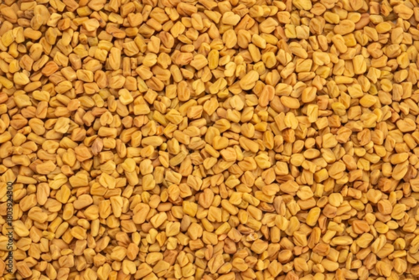 Fototapeta Pile of fenugreek seeds for background. Top view
