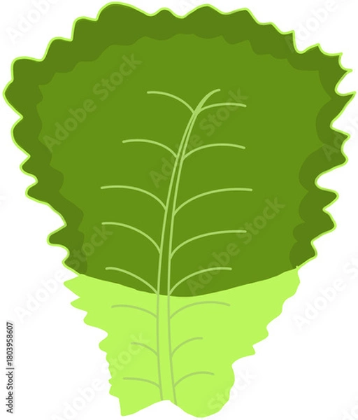 Fototapeta green leaf