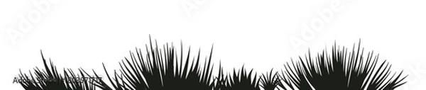 Obraz Set of black flat grass silhouette isolated on white background.. Vector illustration. 