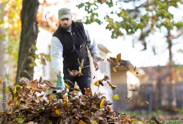 Obraz  Person using a leaf blower to clear the leaves
