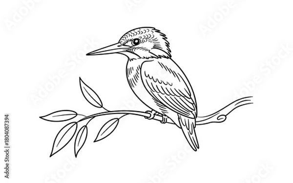 Obraz Black and white illustration of a kingfisher on a leafy branch
