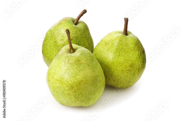 Fototapeta 洋梨　Pear