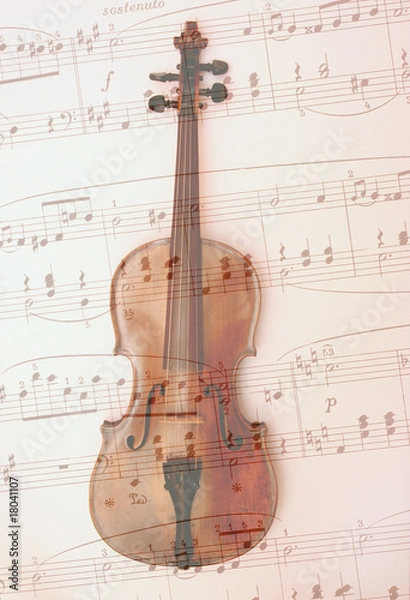 Fototapeta Violine