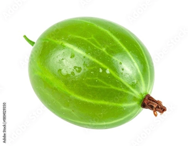Fototapeta Fresh gooseberry close up showing its translucent skin and veins on white surface