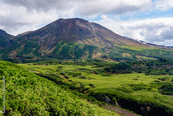 Obraz 大雪山・旭岳を沼の平登山道から望む風景（北海道）