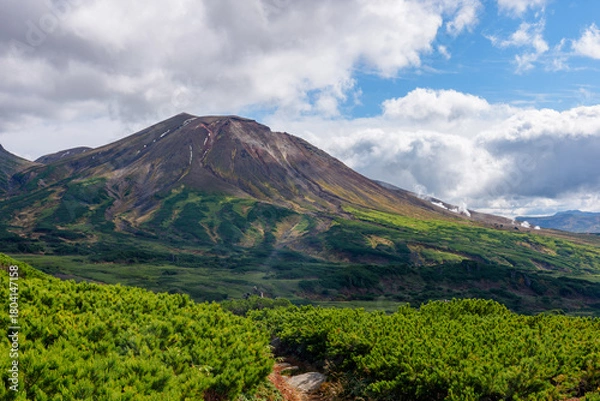 Obraz 大雪山・旭岳を沼の平登山道から望む風景（北海道）