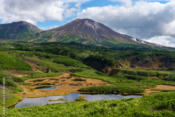 Obraz 大雪山・旭岳を沼の平登山道から望む風景（北海道）
